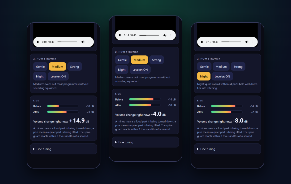 The free volume leveler in a browser: strength buttons, live Before and After meters and the volume change readout